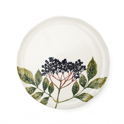 Dinner Plate Elderberry: click to enlarge