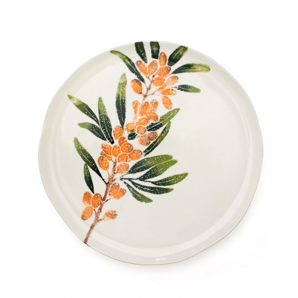 Dinner Plate Sea Buckthorn: click to enlarge