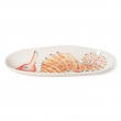 Seahorse Oval Bowl Lauwd Femelle